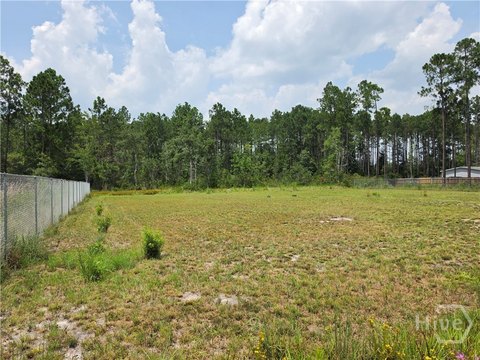 LAND - Ludowici, GA