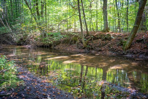 Scenic Land Along White River