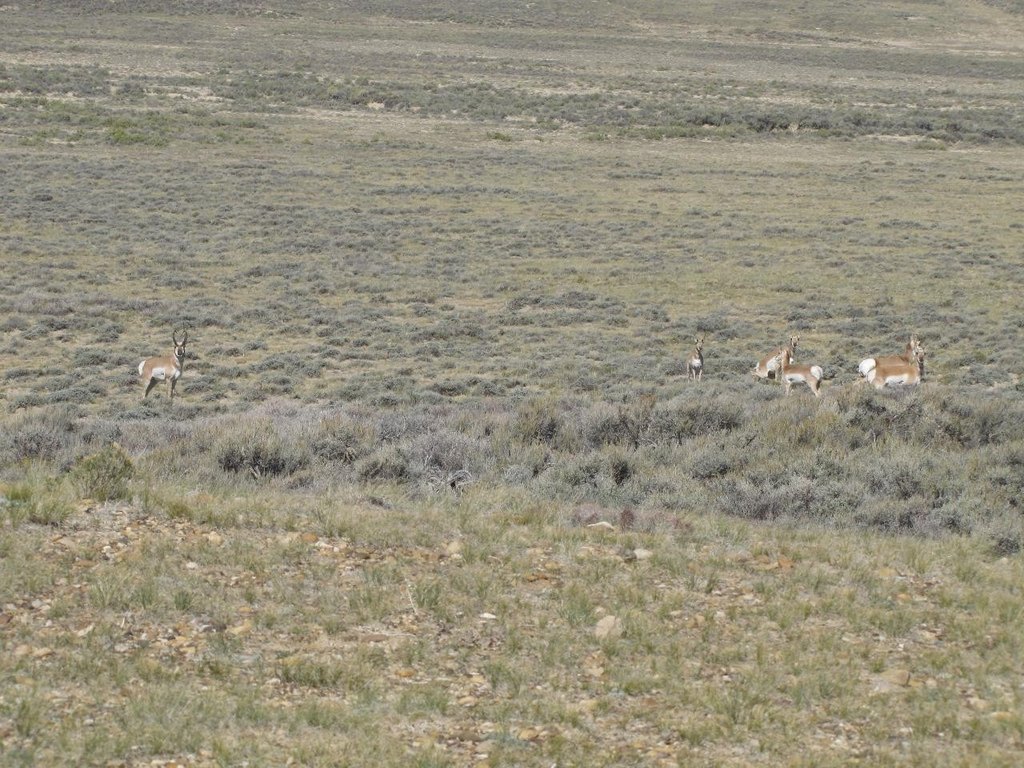 Picture 22