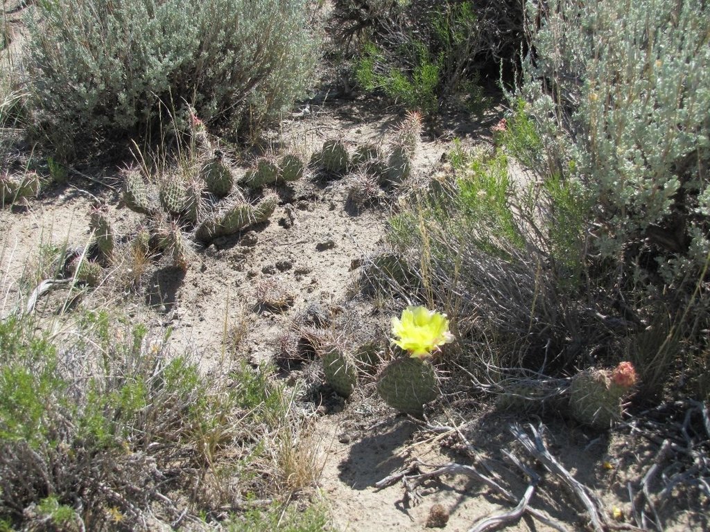 Picture 30