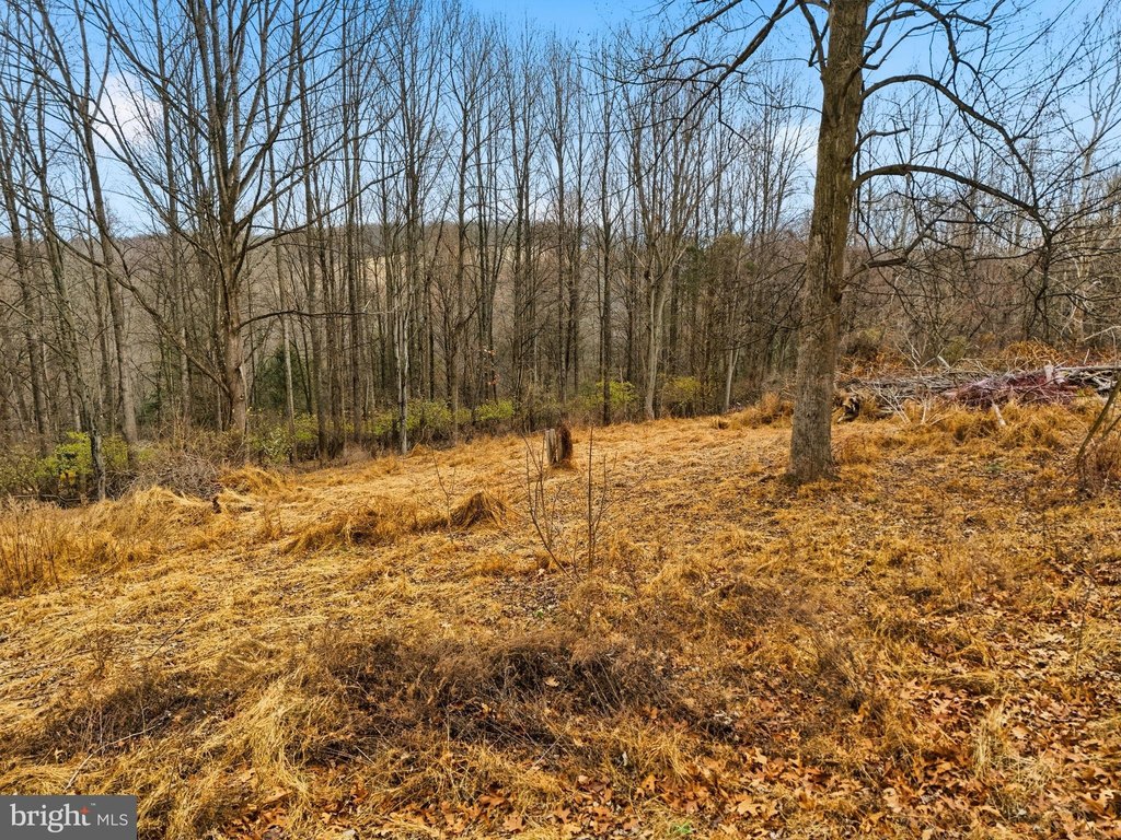 Picture 21