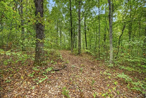Land, Celina, TN
