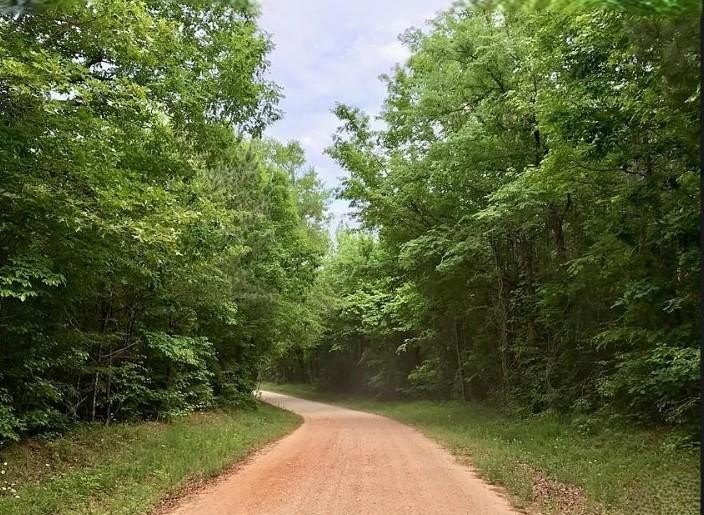 71.58 Acres of Timber Land