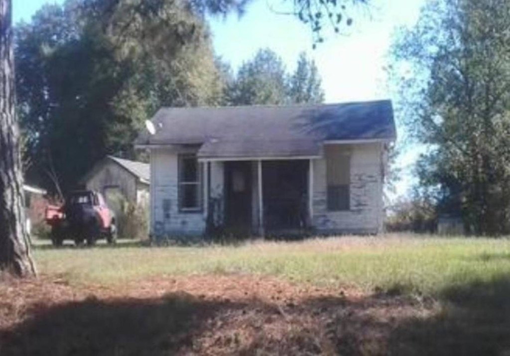 Picture 8