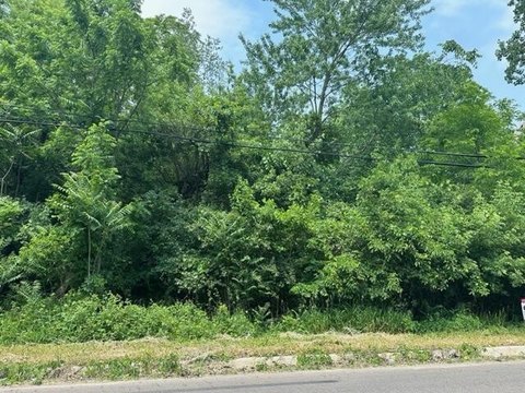 Wooded Corner Lot in Jackson