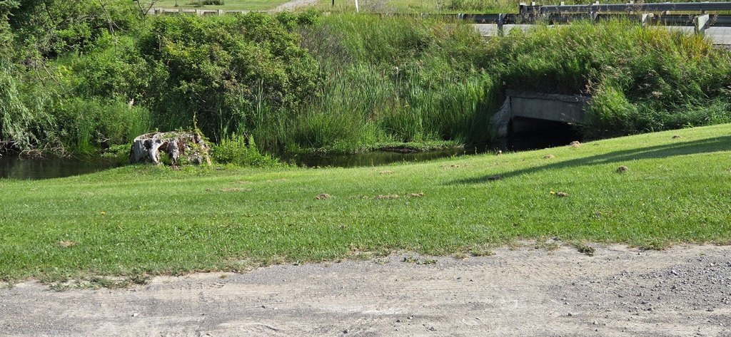 Picture 10