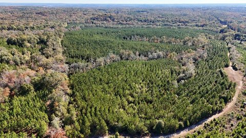 261 Acres Hunting Land Eufaula