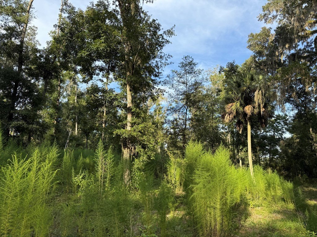 Picture 21