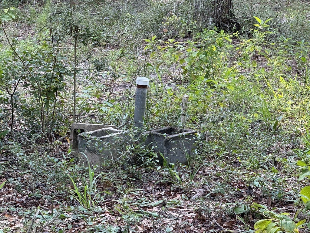 Picture 11
