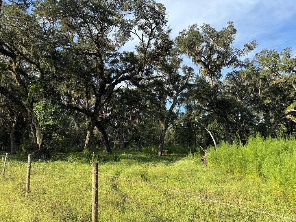 Picture 17