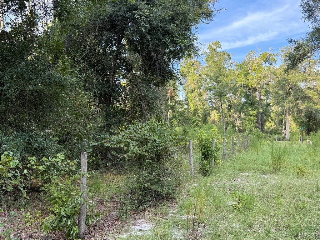 Picture 13