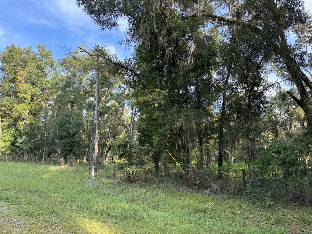 Picture 27
