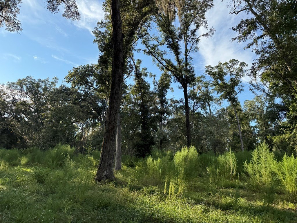 Picture 23