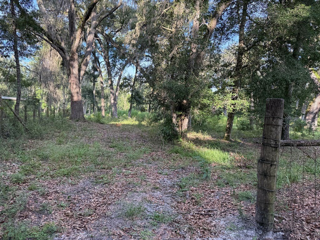 Picture 25