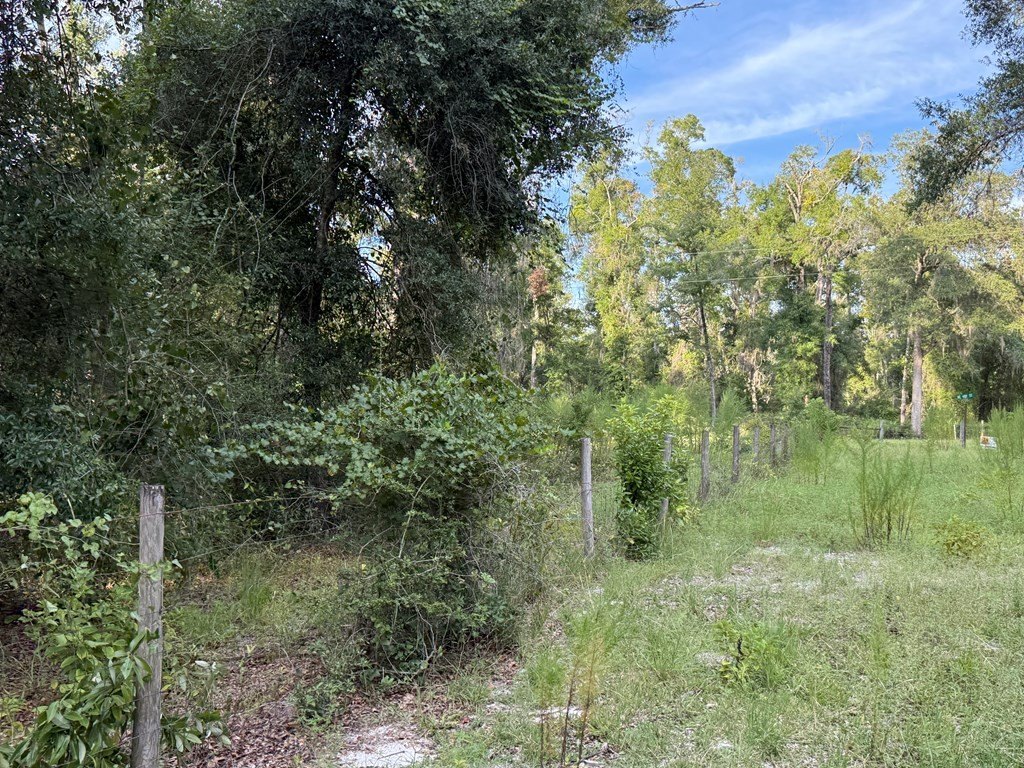 Picture 35