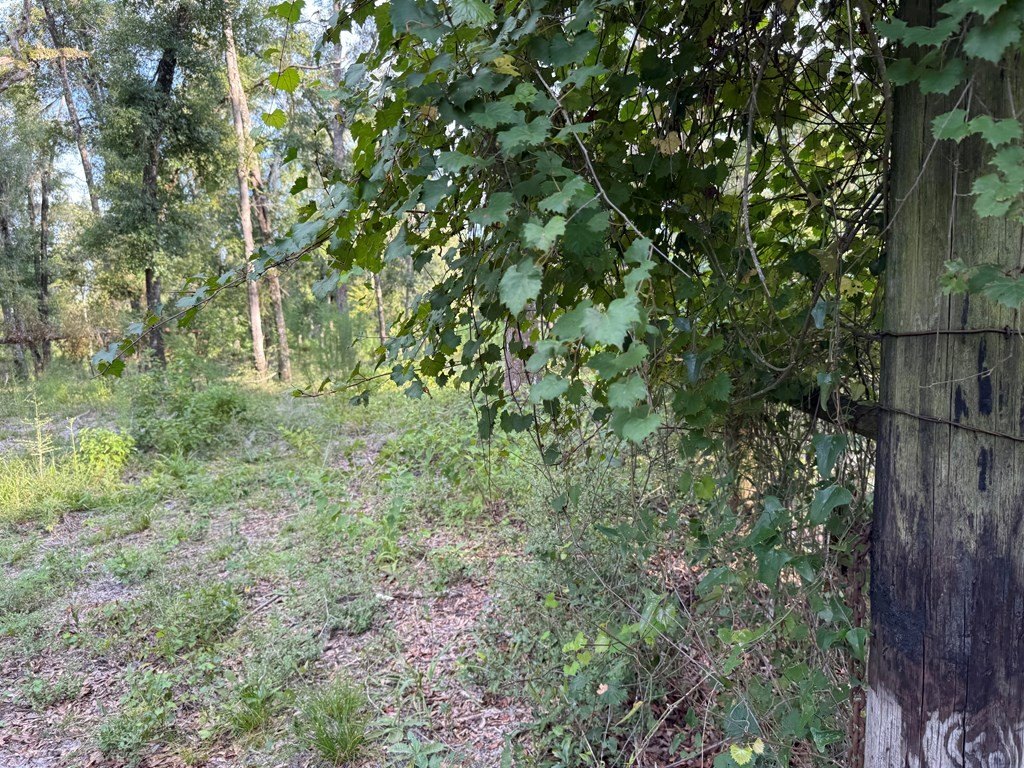 Picture 36