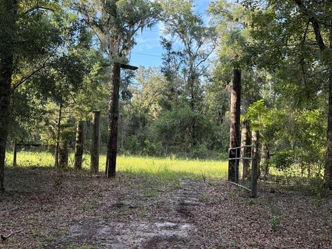 Land, Old Town, FL