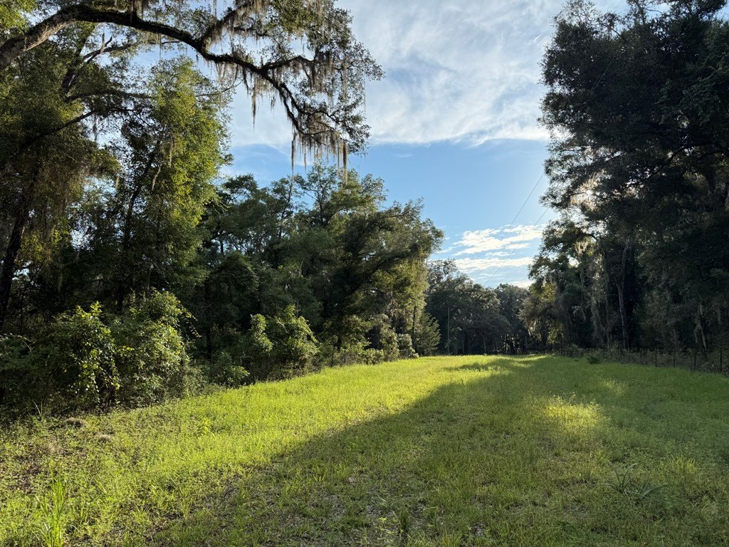 Picture 20