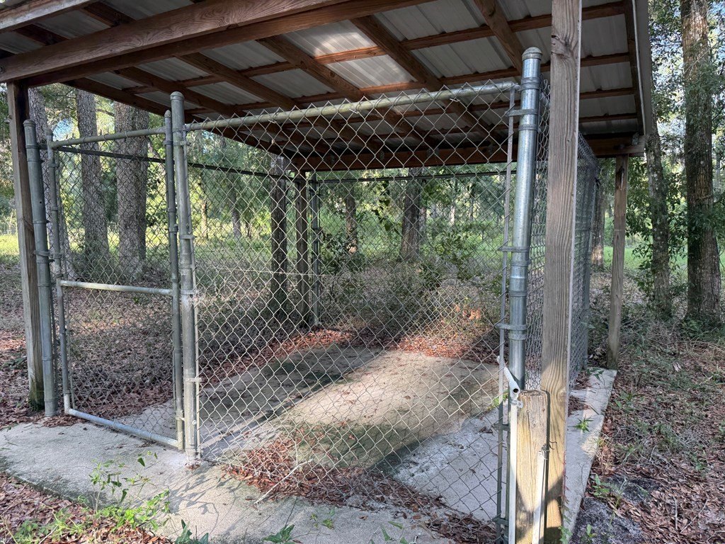 Picture 10