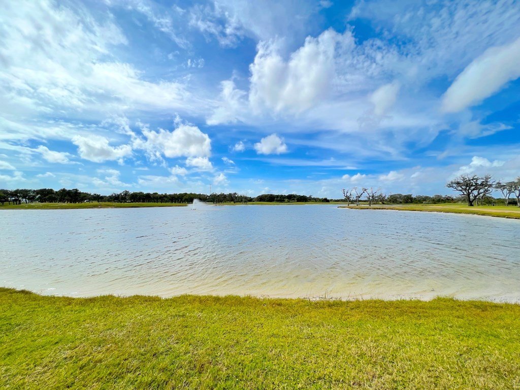 Picture 20