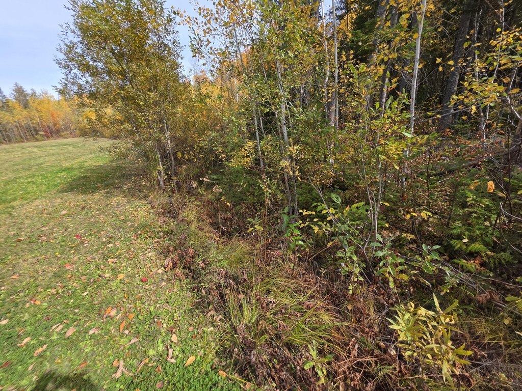 Picture 47