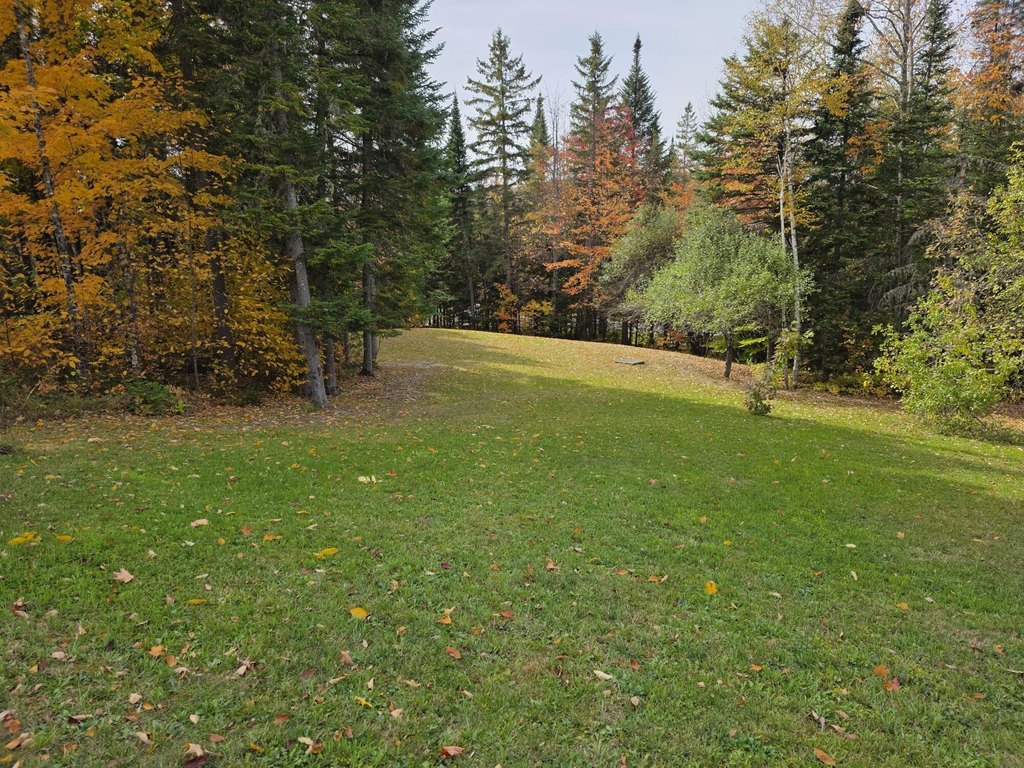 Picture 43