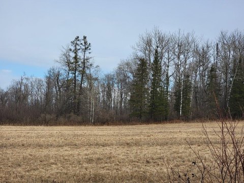 Ojibwa, WI 5-Acre Land