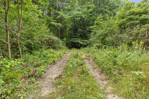 LAND - Stanton, MI