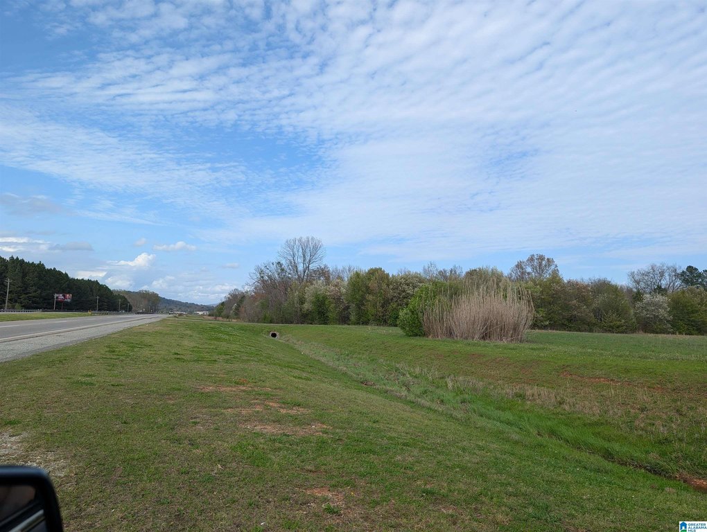Picture 48