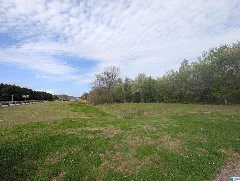 Picture 33