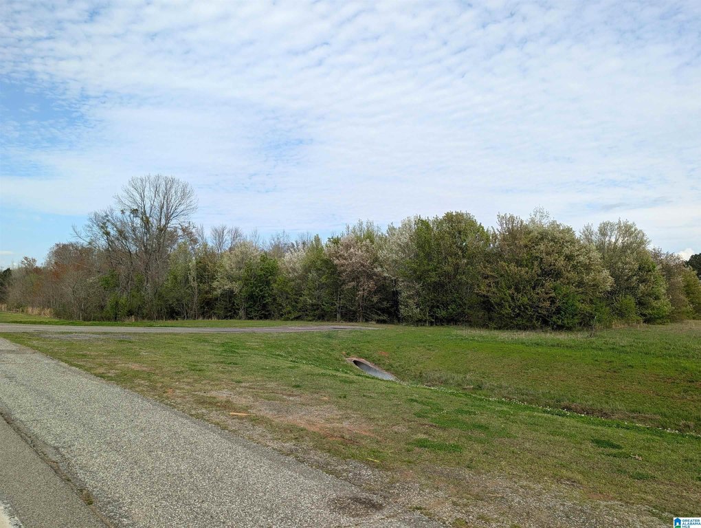 Picture 24