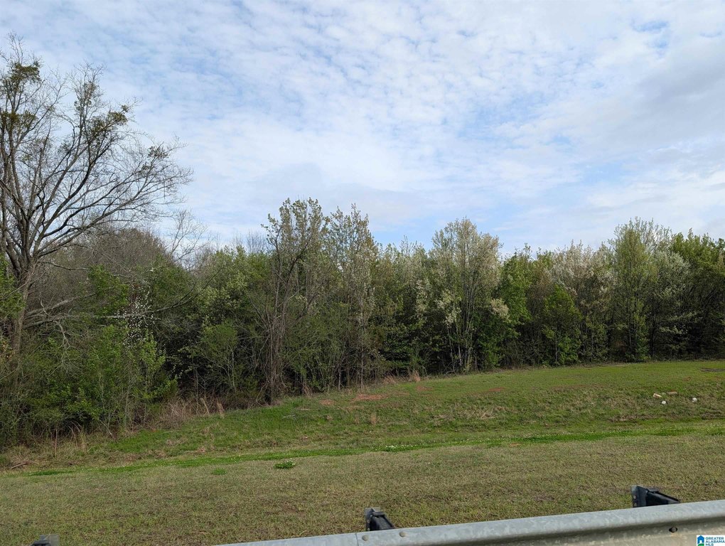 Picture 41