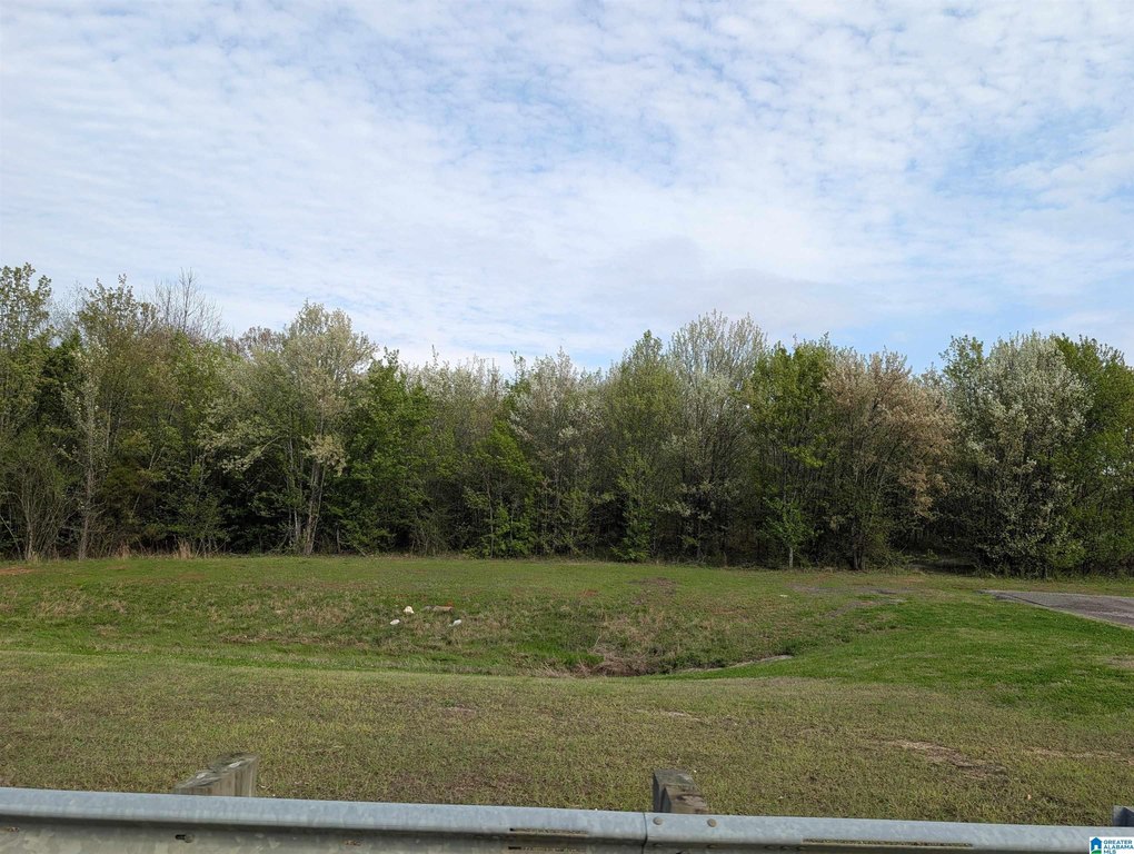 Picture 28