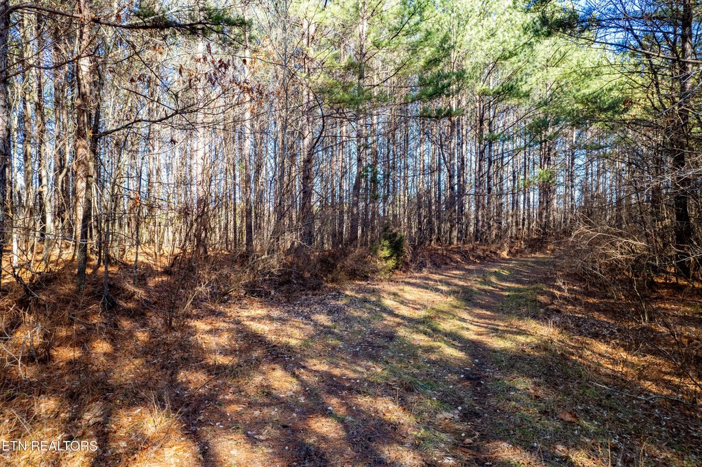 Picture 2