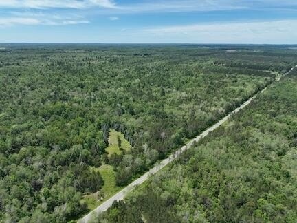 Secluded Timberland Adjacent to Forest