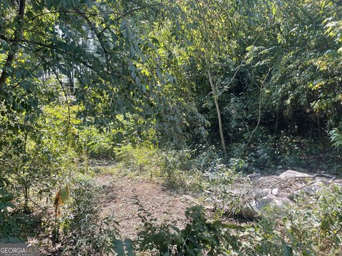 Residential Land in Palmetto, GA