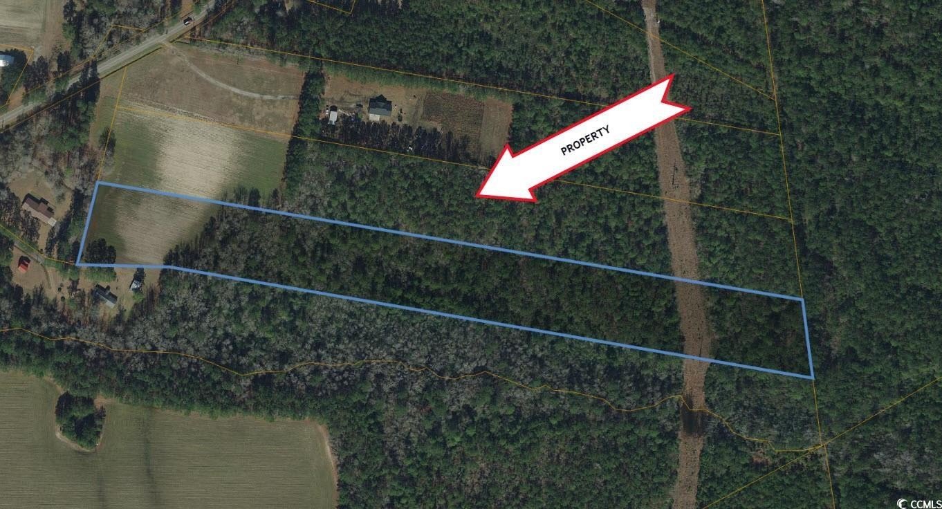 9.84 Acres in Galivants Ferry