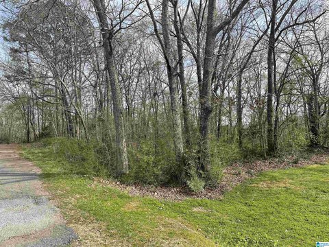 Residential Land in Quiet Neighborhood