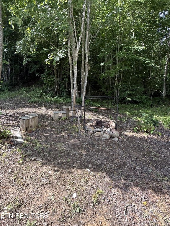 Picture 31
