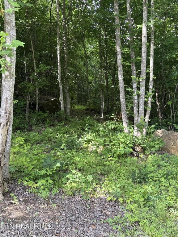 Picture 30