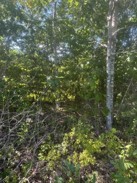 Land, Steuben, ME
