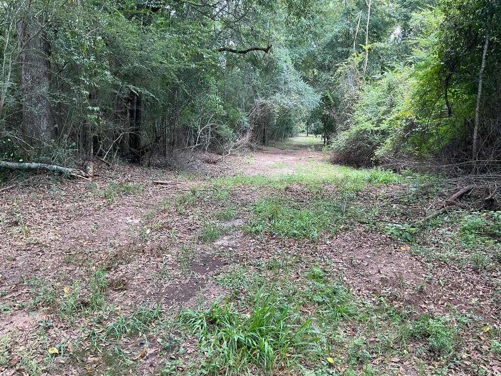 Picture 15