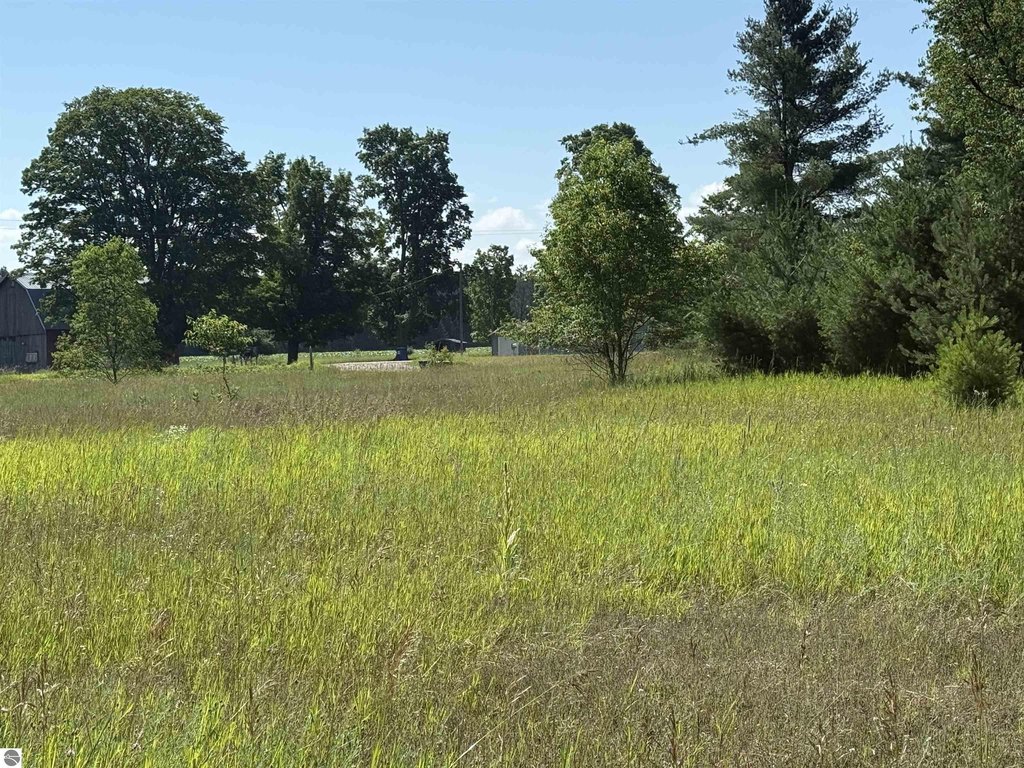 Picture 10