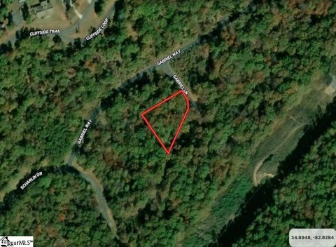 Lots/Land, Pickens, SC