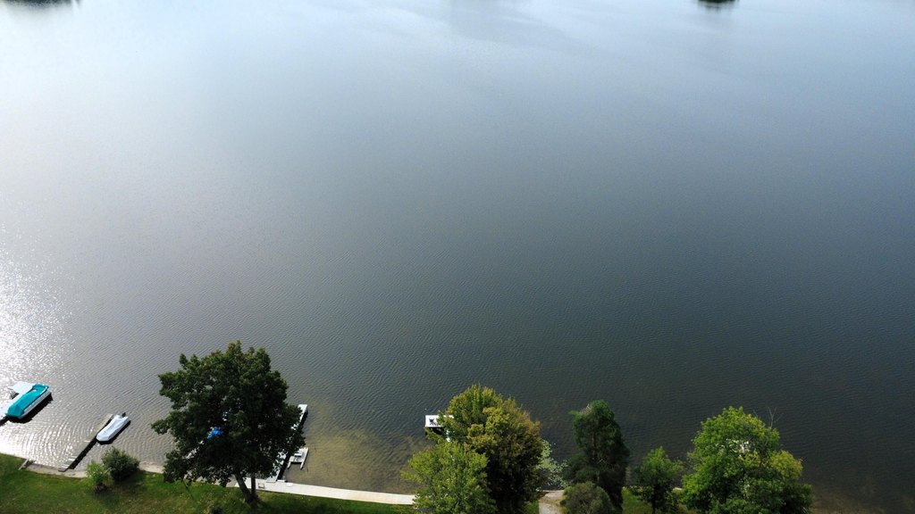 Picture 14