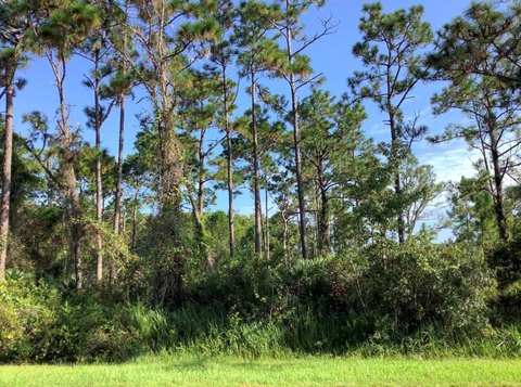 Vacant Residential Lot in Zoned A-2