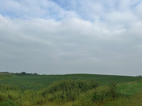 Productive Farmland Tract