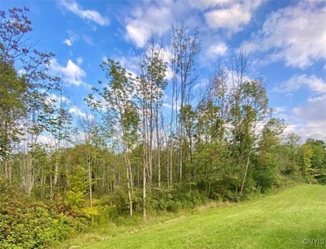 Land Parcel in Deerfield, NY