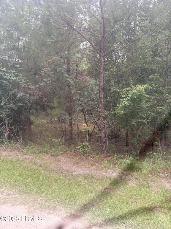 Picture 2