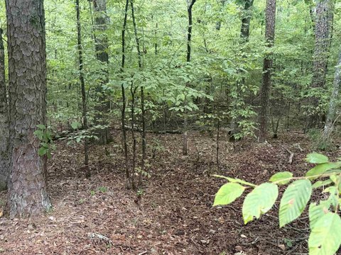 Vacant Land, Hot Springs Village, AR